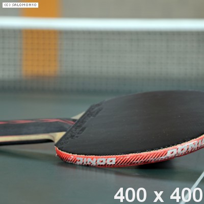 stolni tenis